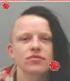 Carolann Gallon